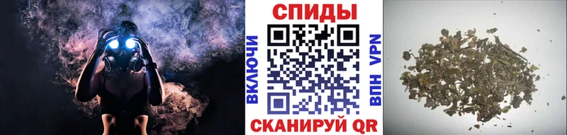 БУТИРАТ BDO 33%  Бакал 