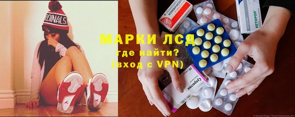 трава Аркадак