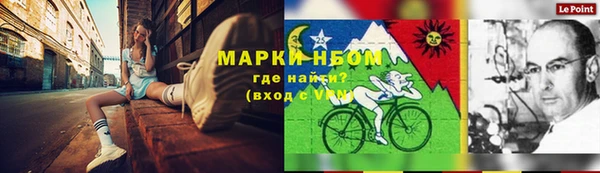 прущий лед Алзамай