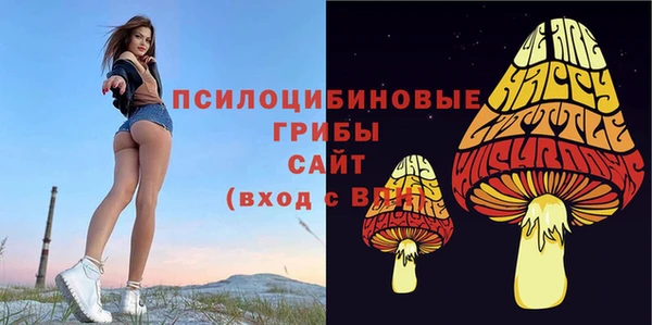 трава Аркадак