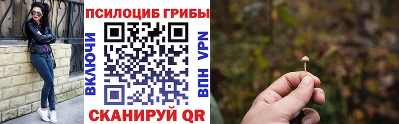 mega ONION  сколько стоит  Бакал  Псилоцибиновые грибы мухоморы 