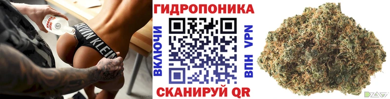 купить   Бакал  Шишки марихуана семена 